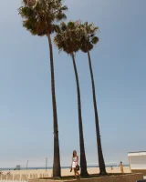 Zishy - 02-full_02-1973235208250