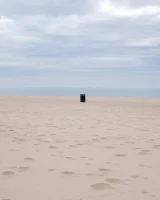 Zishy - 41-full_46-0001243541050265