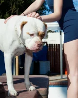 Zishy - 04-full__MG_2698