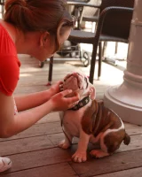 Zishy - 13-full_15_9405732115821