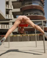 Zishy - 34-full_36_6605892121809