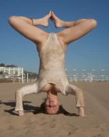 Zishy - 61-full_b3_0006815175705