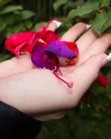 Zishy - 36-emmy-sinclair-shrine-lake-full_36-8698164652000