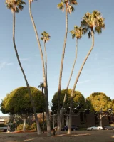 Zishy - 23-full_023_0013042407470