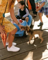 Zishy - 33-full_033_124431194217