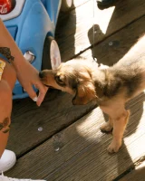 Zishy - 34-full_034_124433194214