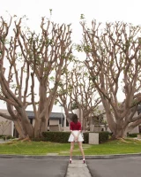 Zishy - 10-full_110-669352