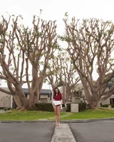 Zishy - 14-full_114-440874