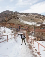 Zishy - 43-full_46-8503023030000