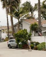 Zishy - 04-full_004_6299152010144432