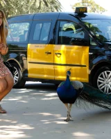 Zishy - 40-katherine-prerija-estacion-de-francia-full_040_1449411530321895