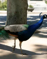 Zishy - 41-katherine-prerija-estacion-de-francia-full_041_1449391530331899