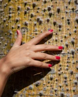 Zishy - 23-full_27_23__mg_5250