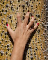 Zishy - 24-full_28_24__mg_5275