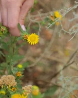 Zishy - 47-olya-derkach-roaming-minutes-0047