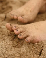 Zishy - 41-full_41_0000820030915