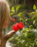 Zishy - 02-full_02_5501348120524