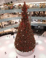 Zishy - 51-full_051_13224317495099