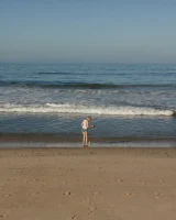 Zishy - 01-full_01_18224521193922