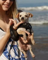 Zishy - 04-full_04_18214570194141