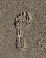 Zishy - 05-full_05_17434586194305