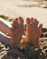 Zishy - 23-full_23_18294825200255