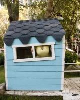 Zishy - 53-full_053_0811280932240847