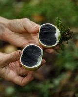 Zishy - 09-full_009_761414187