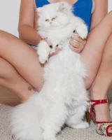 Zishy - 14-full_138n5001852262720