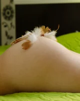 Zishy - 54-victoria-minina-joss-daydream-2-full_054_1605357118133320